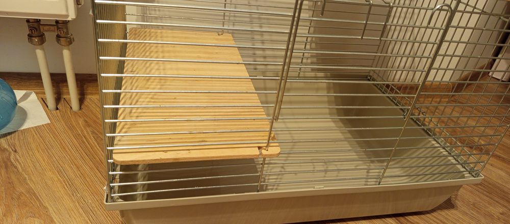 Chomik syryjski (młoda) razem z klatką