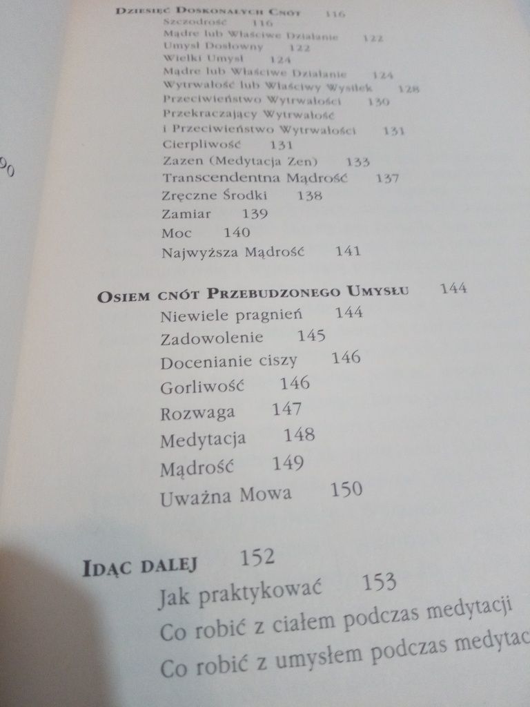 Wielki umysł, wielkie serce - Dennis Genpo Merzel