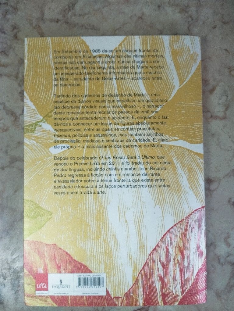 João Ricardo Pedro, "Um Postal de Detroit"
