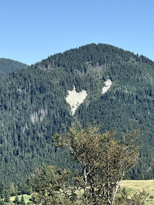 Котедж «ГІРСЬКИЙ ЗАТИШОК» поблизу озера Синевир