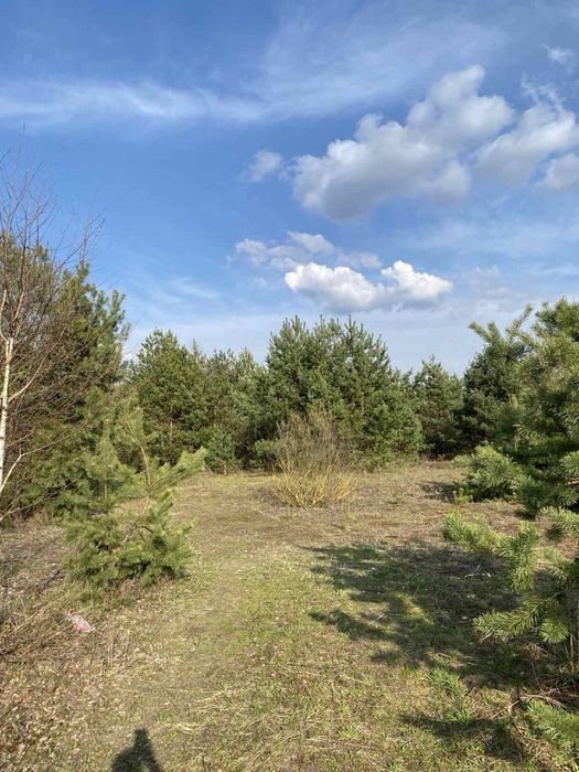 Земельна ділянка в Козлині, біля кінного клубу