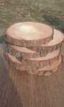 Plastry, komplet, 15 szt, 20-25 cm, drewniane, dekoracja, stroiki