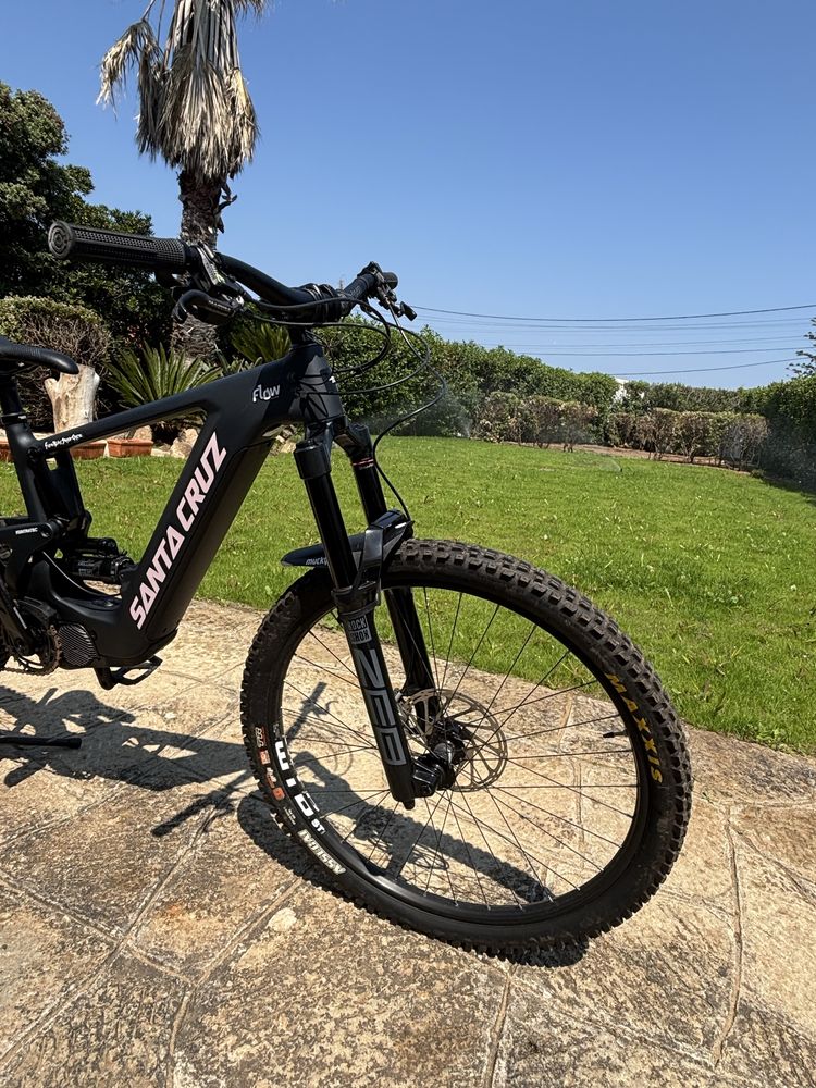Santa Cruz Heckler 2024