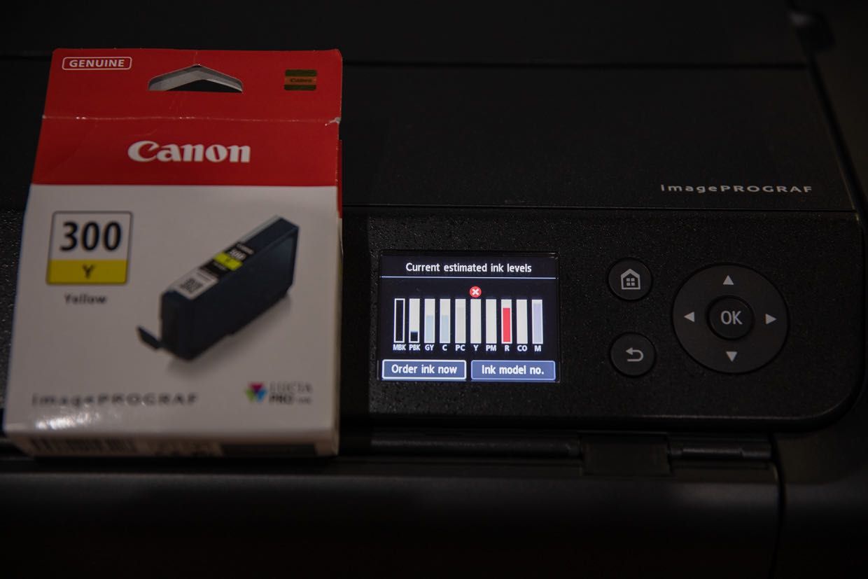 Canon PRO-300 COMO NOVA