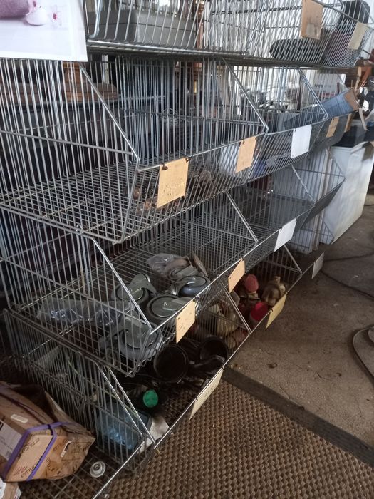 Cestos para arrumação