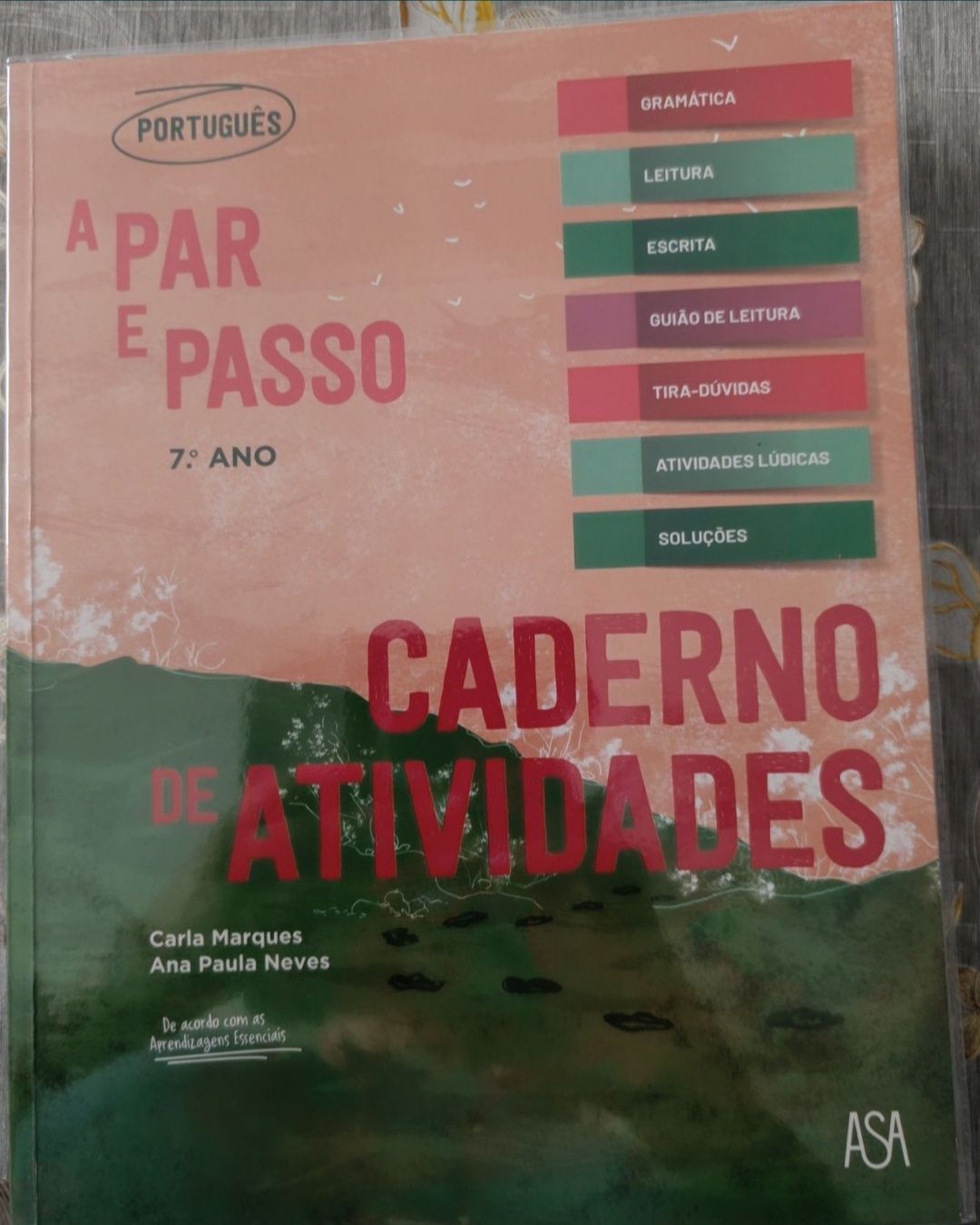 Manuais de actividades