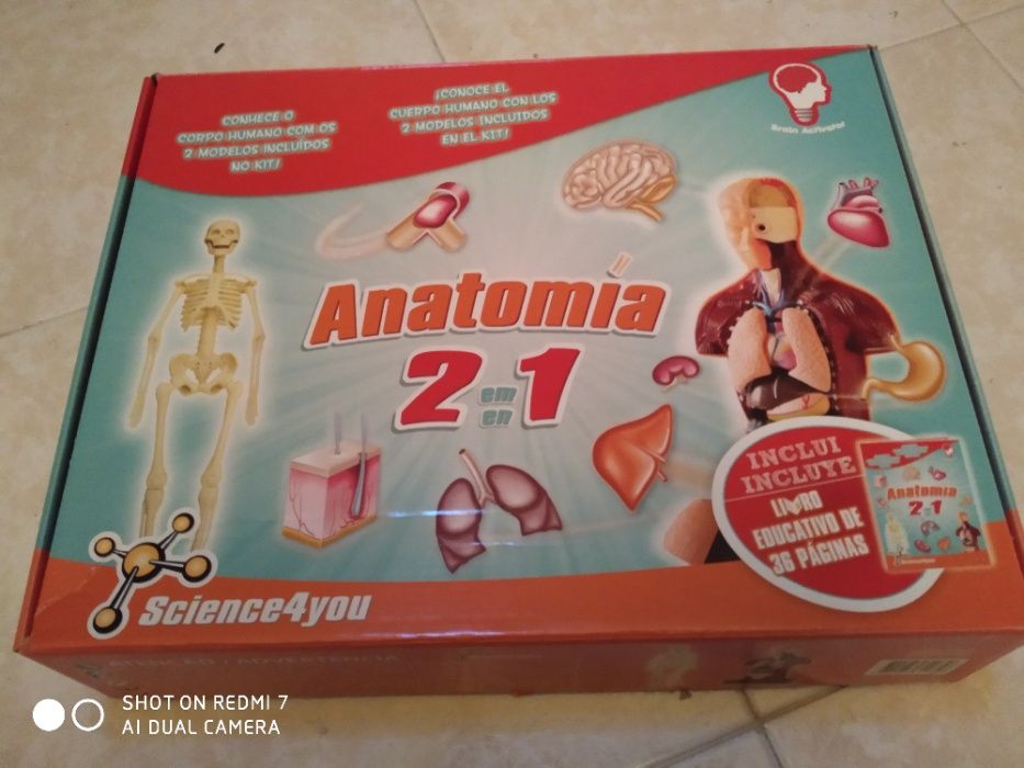 Science4You - Jogo Anatomia