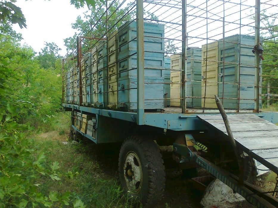 Павильйон для перевозки пчел .