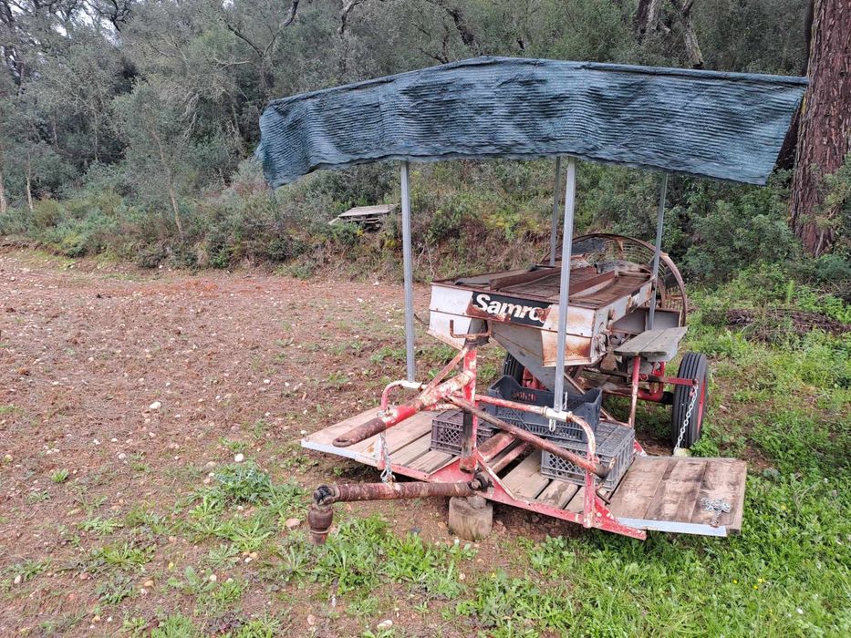 Máquina arrancar batata