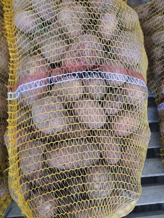 Ziemniaki ekologiczne ricardo czerwone 15kg wysyłkowo