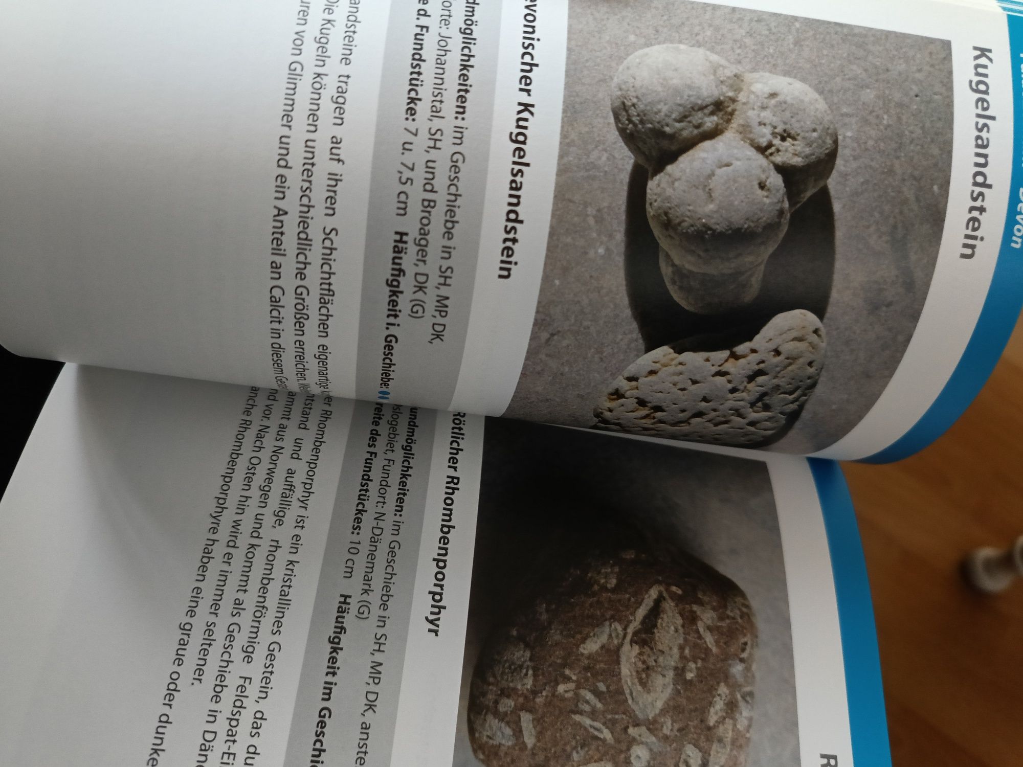 Fossilien sammeln an der Ostseekuste