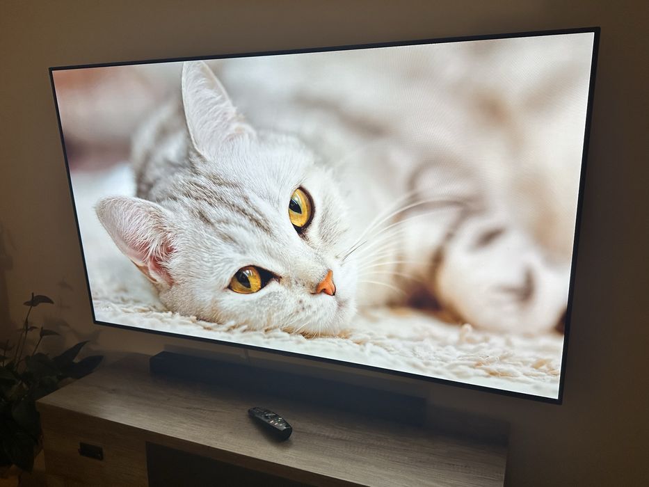 TV LG OLED 65" 4K 100Hz OLED65BX3LB bez wypaleń