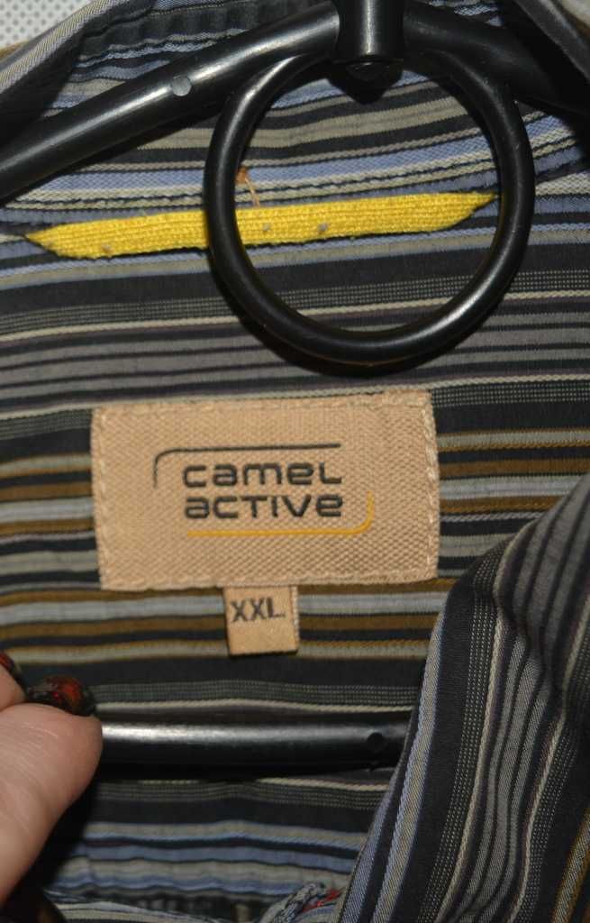 Koszula w paski Camel Active XXL