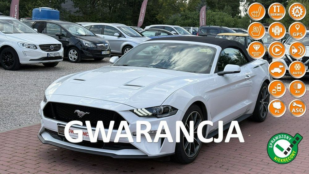 Ford Mustang Cabrio, Wypas, Automat