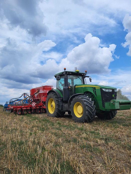 Usługi siewu rzepak.Siew pasowy Czajkowski ST600, strip-till