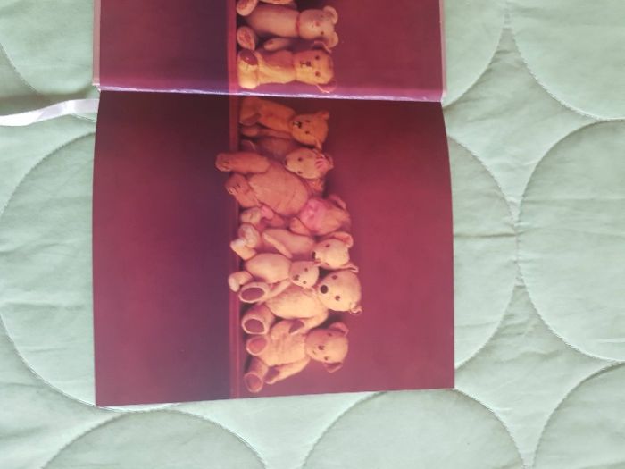 Agenda Anne Guedes - ano 2000 - nova