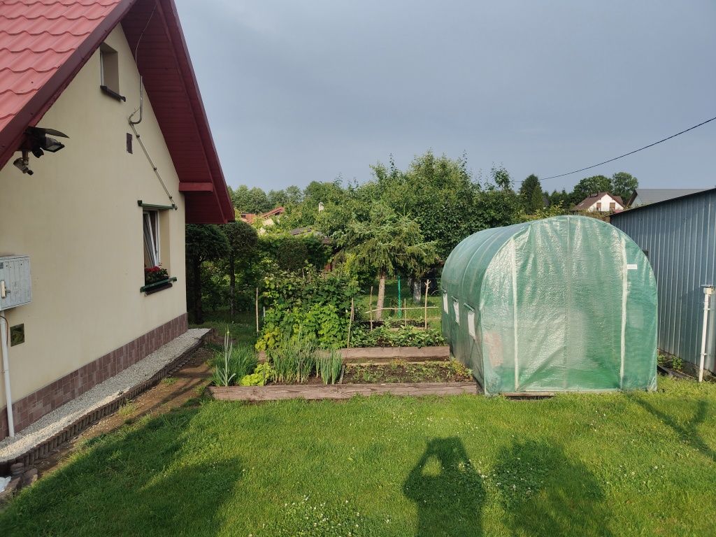 Domek całoroczny do wynajęcia ROD