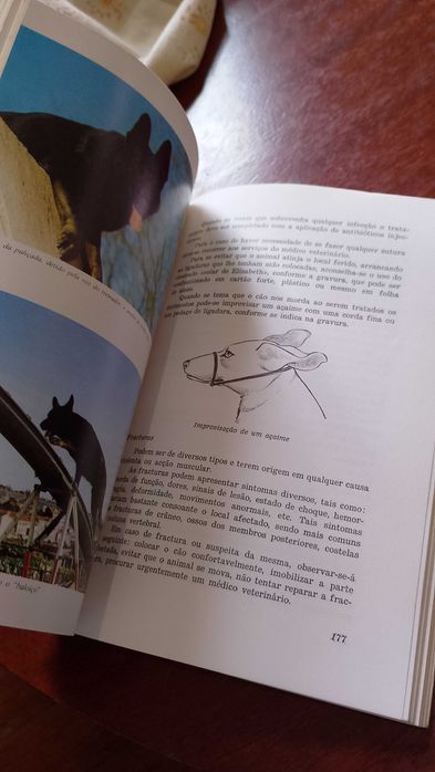 O Cão Militar - Coronel Costa Campos