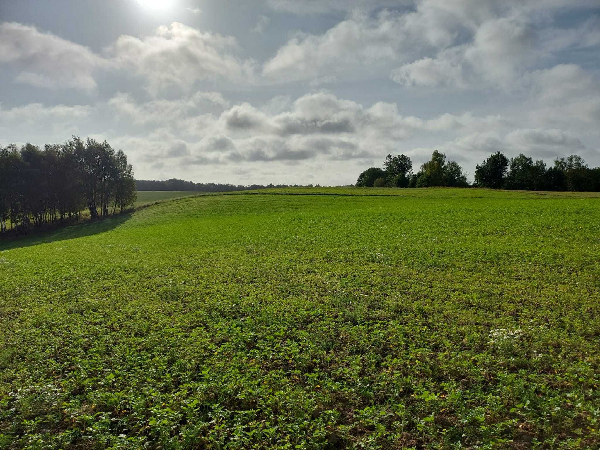 Działka rolna, budowlana Bobrowniki - 0,999 ha