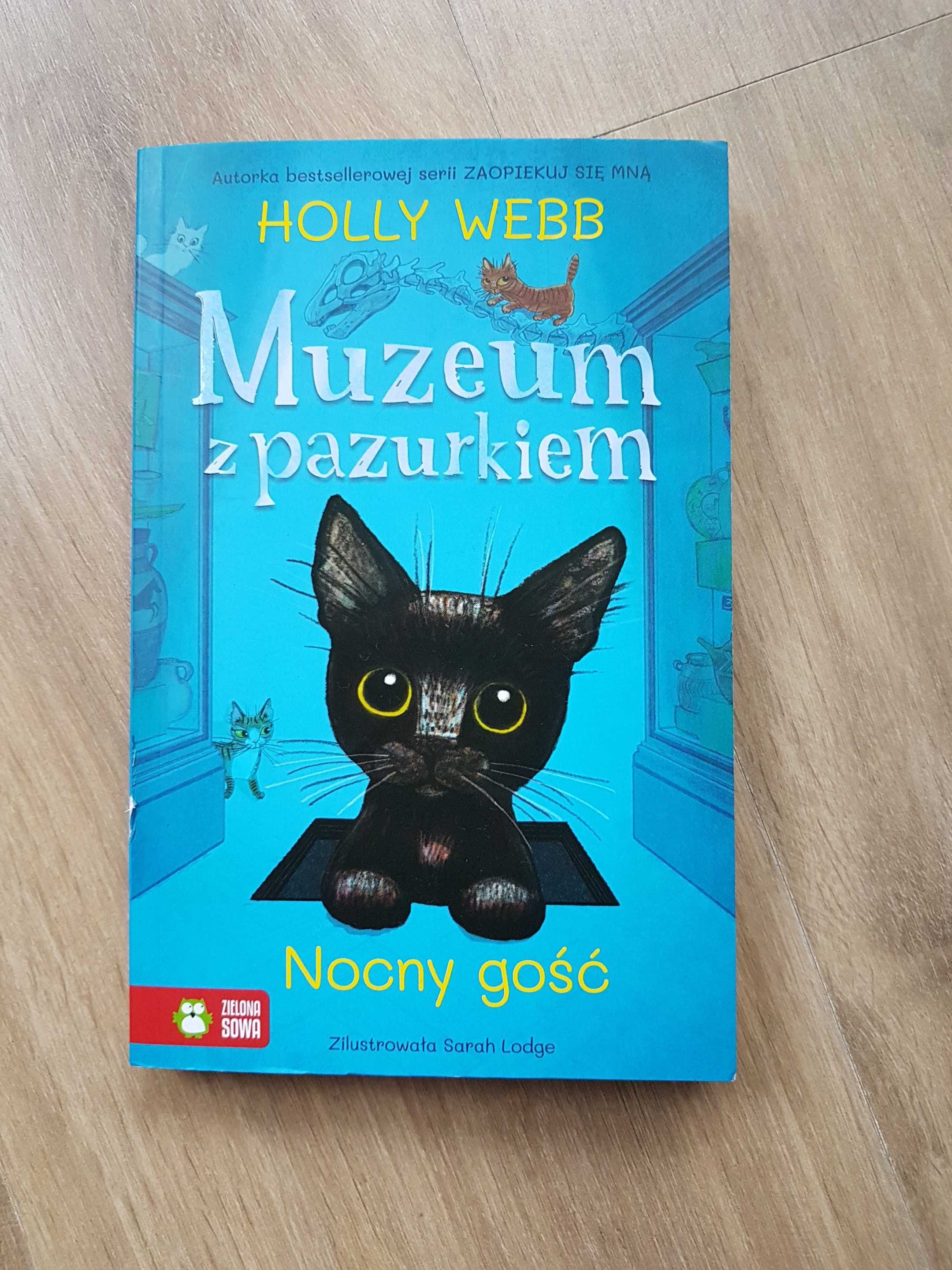 Muzeum z pazurkiem Nocny Gość Holly Webb Zielona Sowa