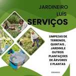 Desmantações de terrenos e quintais