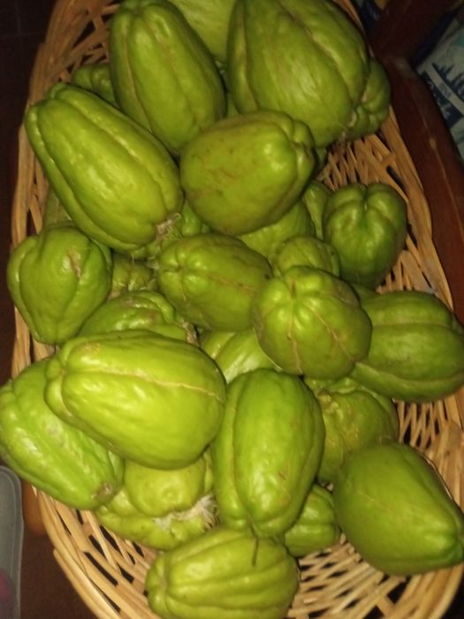 Chuchus Frescos, Saborosos e 100% Naturais!