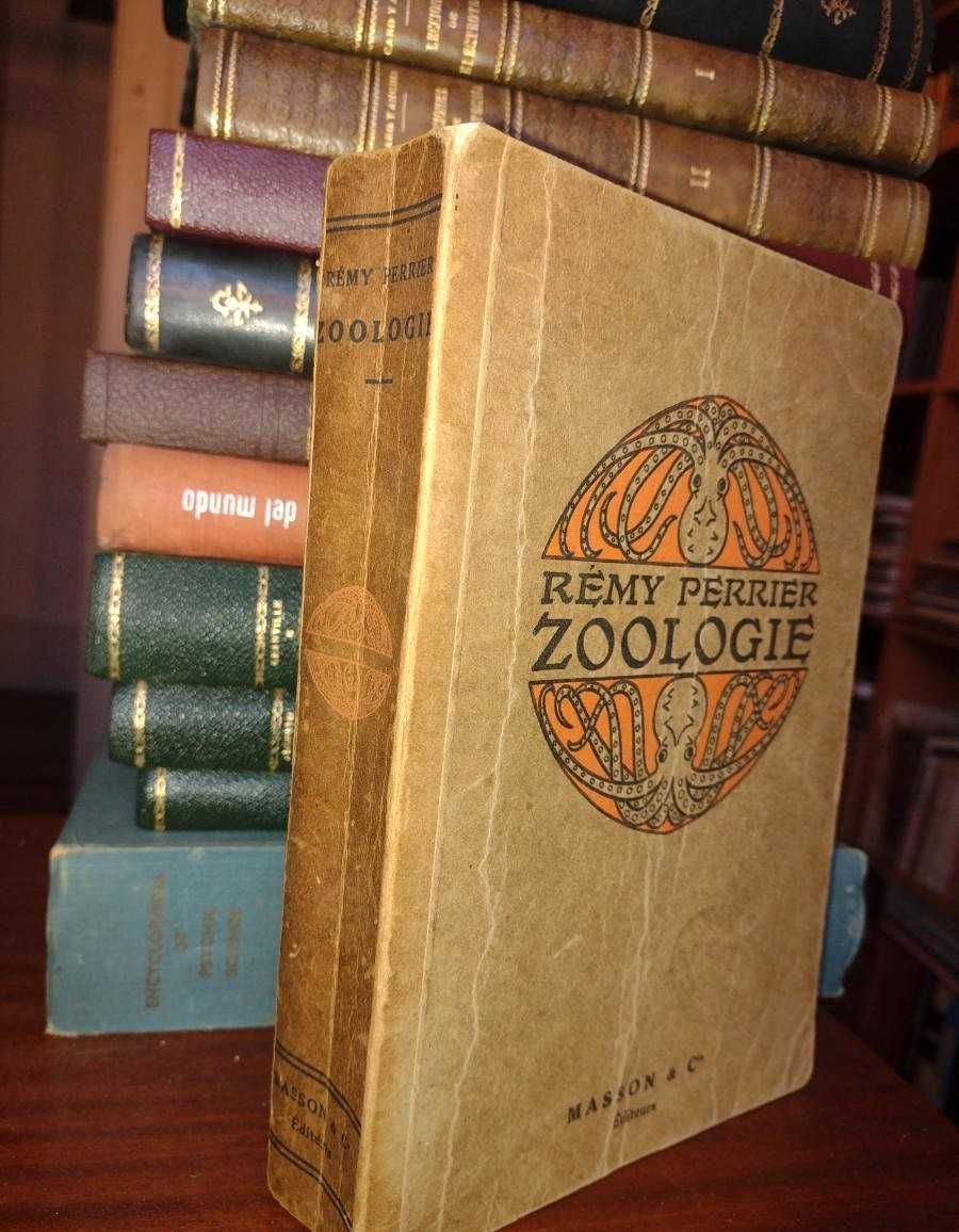 Zoologie - Rémy Perrier 1925