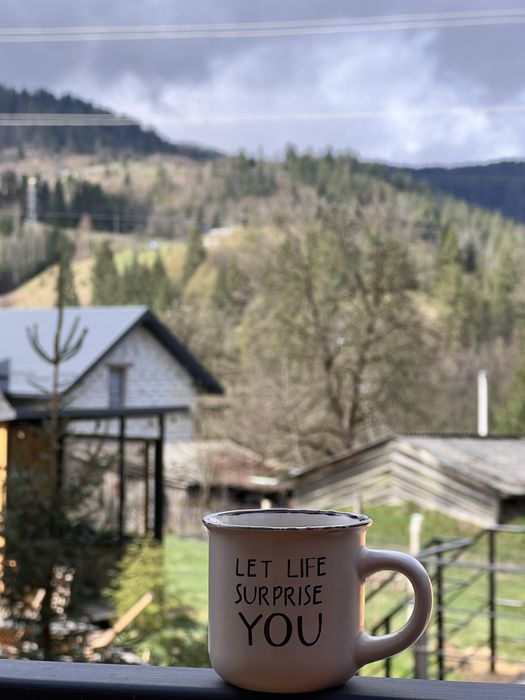 Оренда модульного будинку в Карпатах