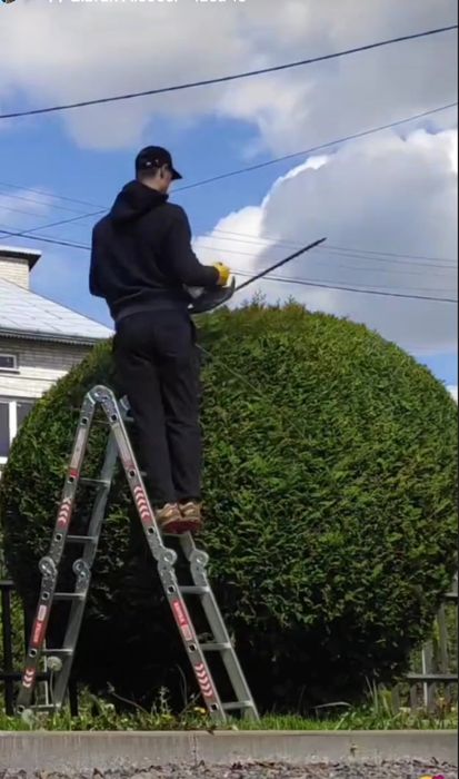 Зрізання дерев / Арборист — швидко та безпечно