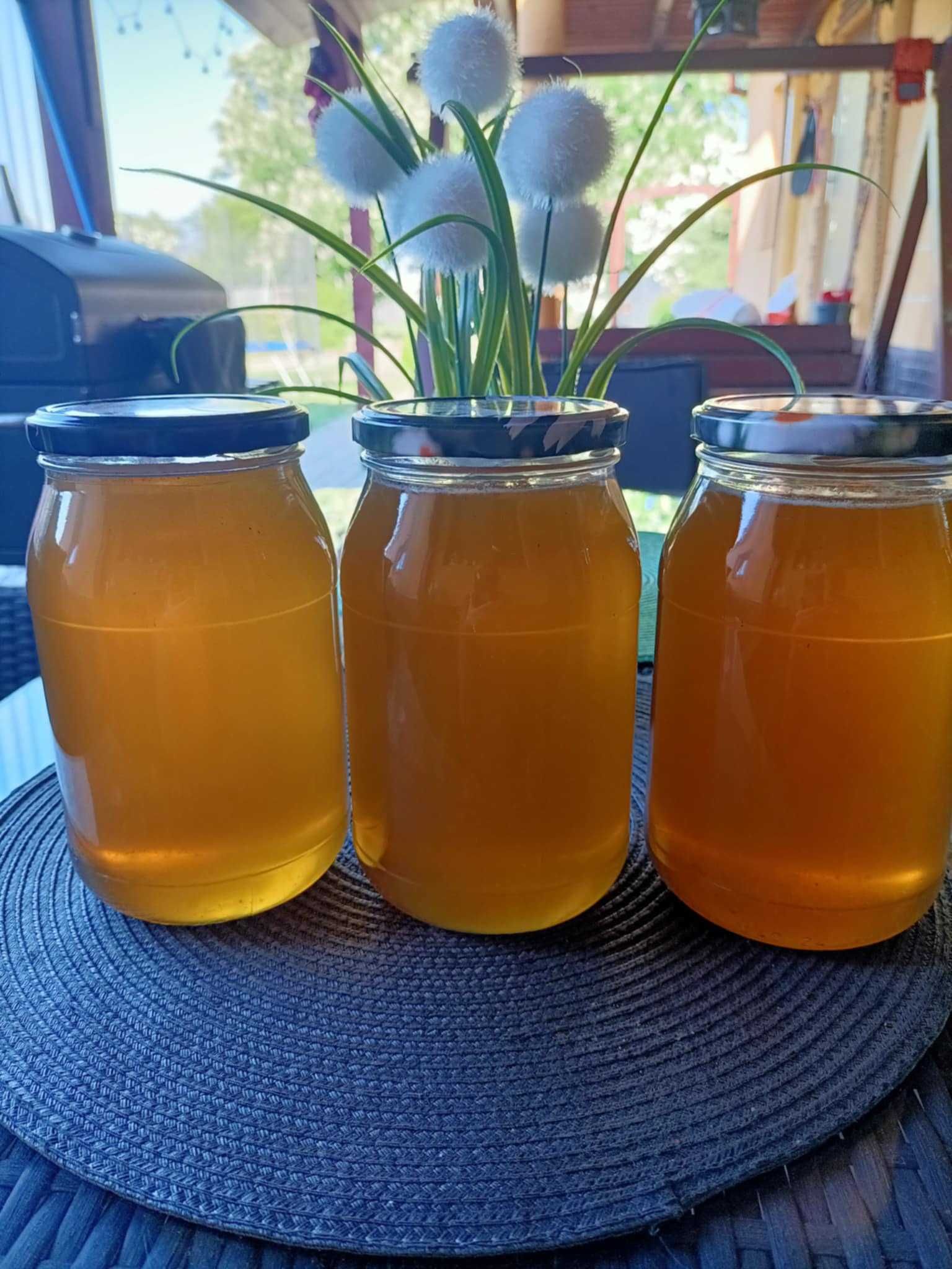 Miód Rzepakowy 0,9 L