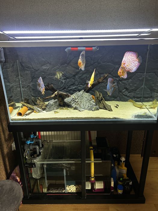 Akwarium 360L plus sump