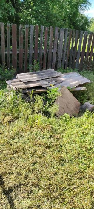 Послуги з прибирання території та догляд за садом Бучанський район