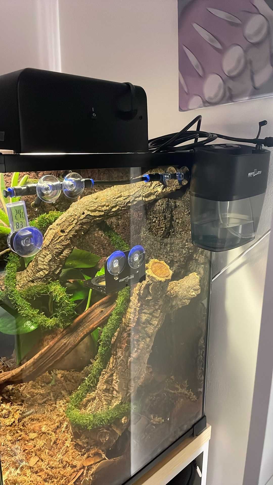 Terrarium Repti Planet z wyposażeniem (Bez gekona)