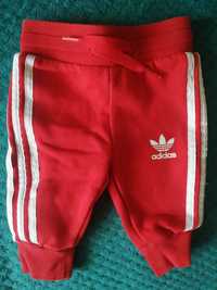 Spodnie dresowe Adidas rozmiar 62