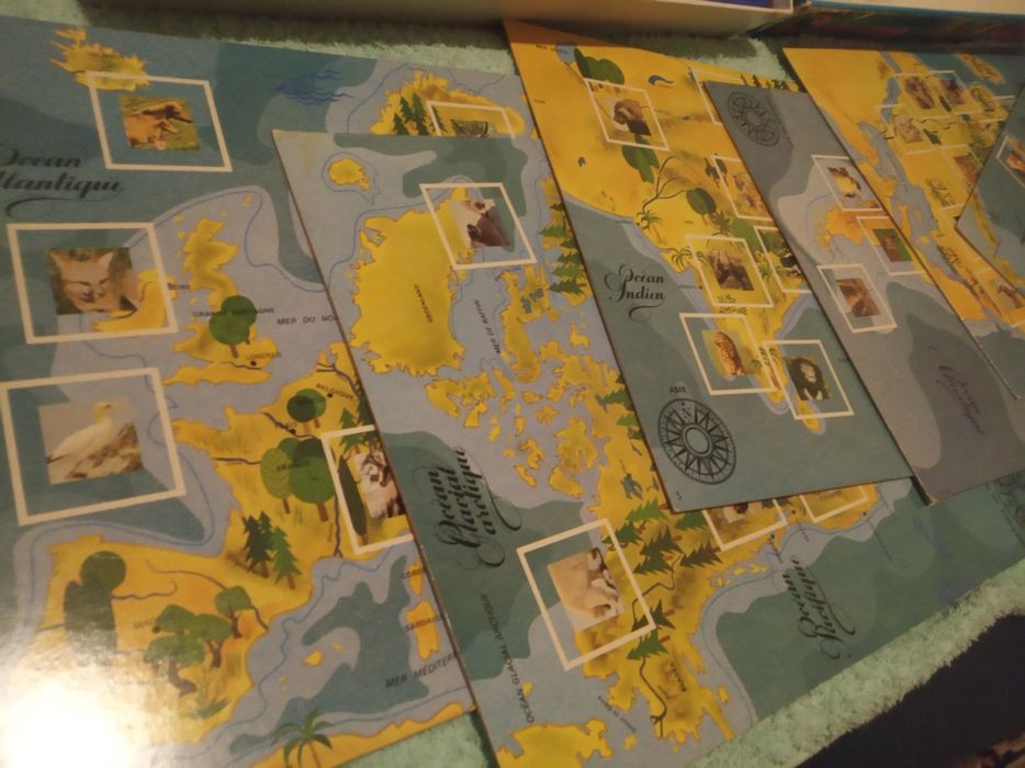 Jogo " OS ANIMAIS DO MUNDO "