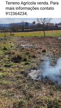 Vende-se terreno agrícola