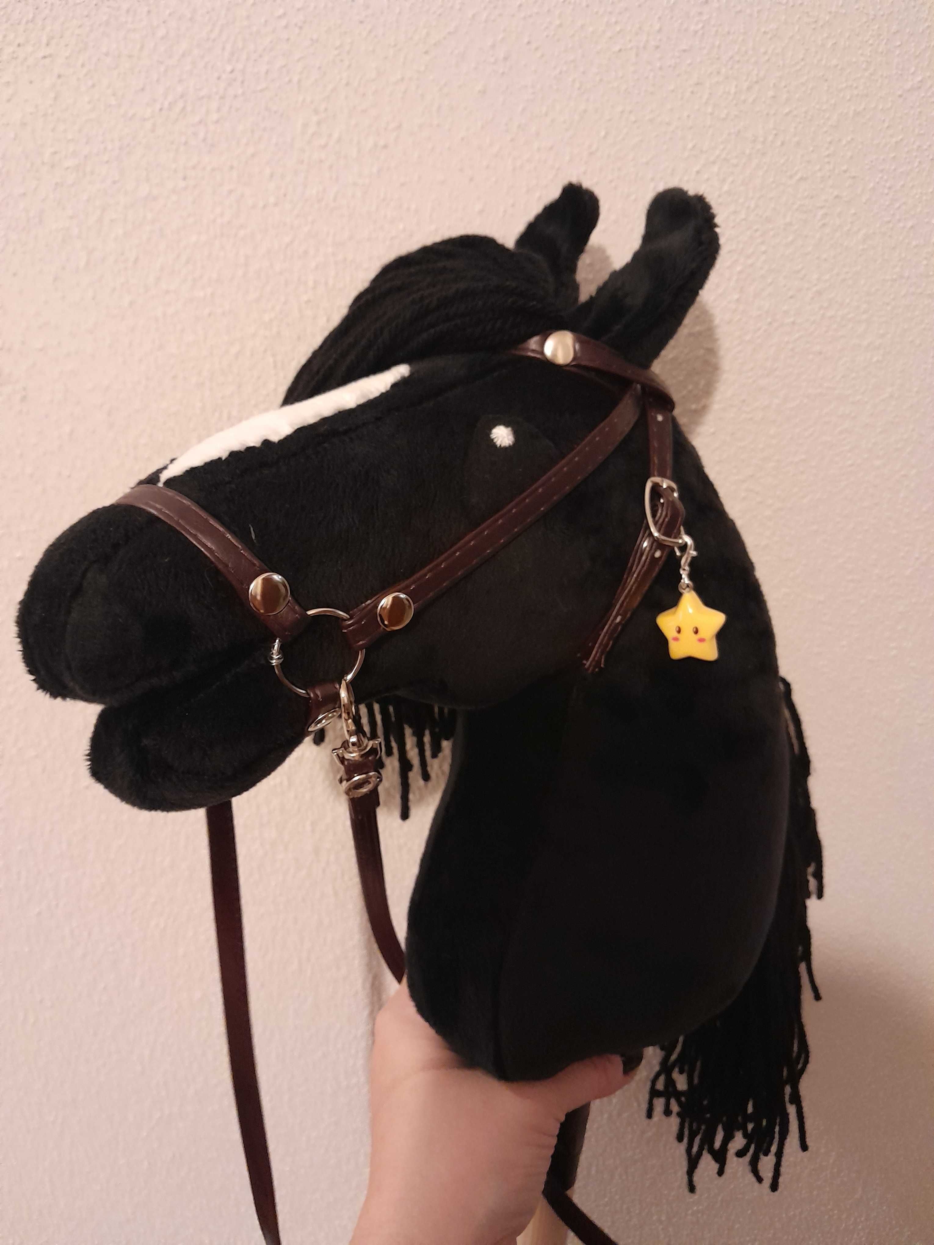 Hobby horse format A4