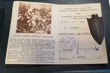 Odznaczenie Grunwald Berlin