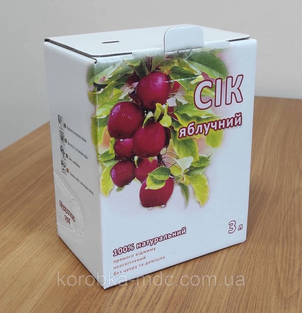 Обладнання Розливу в пакети з краном Bag-in-Box (Біг ін БОКС)