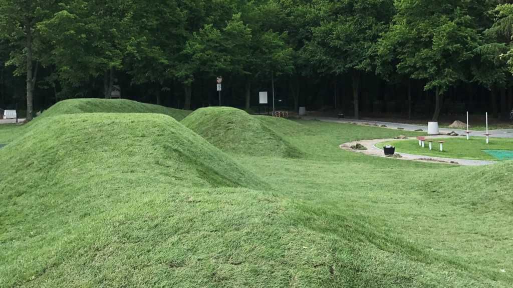 Trawa z rolki / dostępna od ręki / Kraków / MARKFLOR
