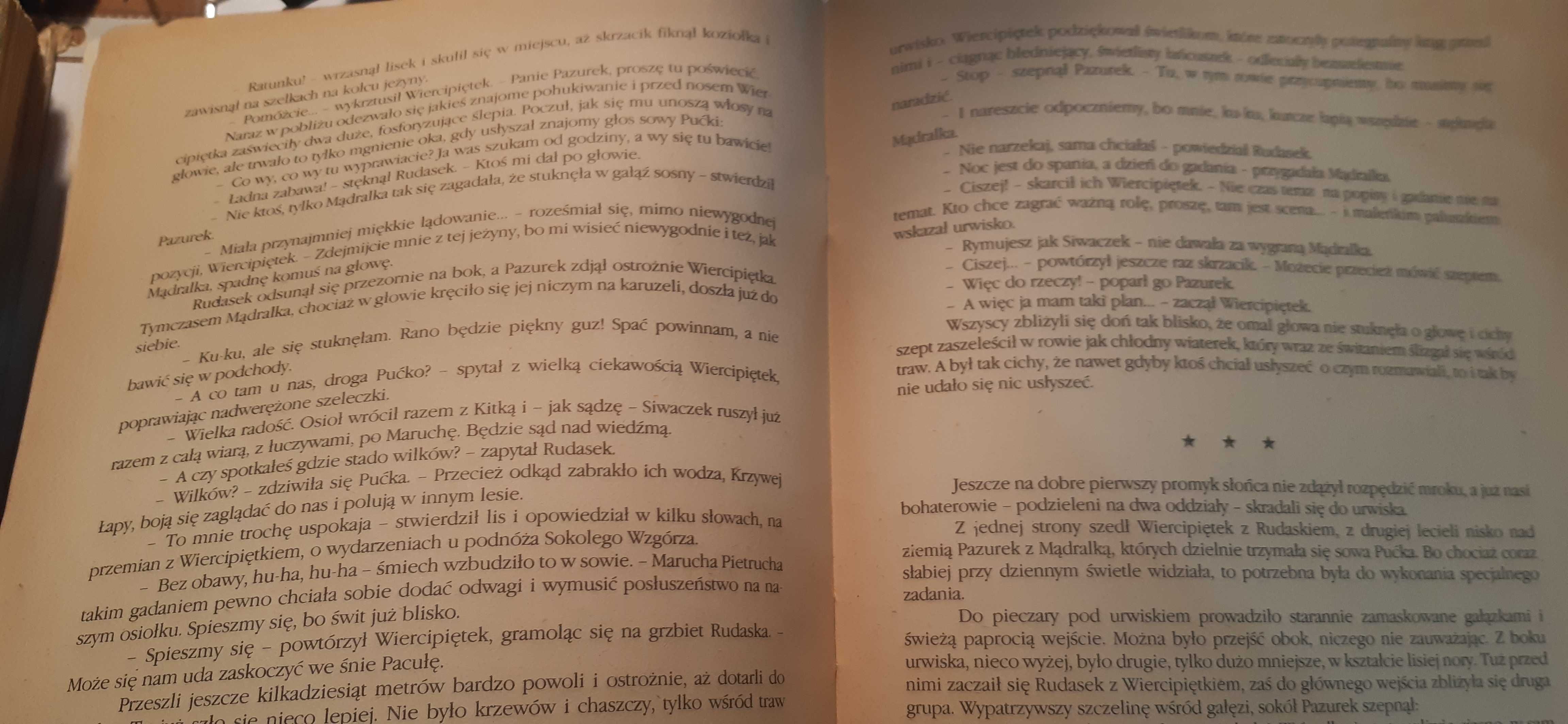 Przygody skrzata Wiercipiętka - Andrzej Grabowski
