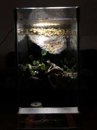 Terrarium szklane