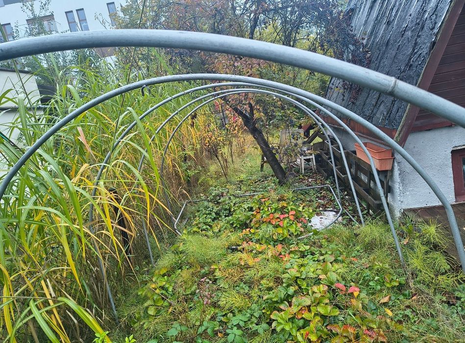 Szklarnia 15m2, Namiot ogrodowy,, Stelaż XL