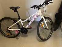 Rower LTD princess lite