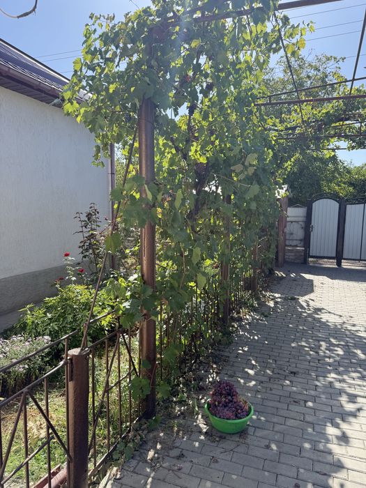 Продаж будинку, село Лепетиха, Баштанський район