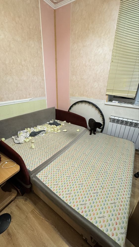 Розкладний диван