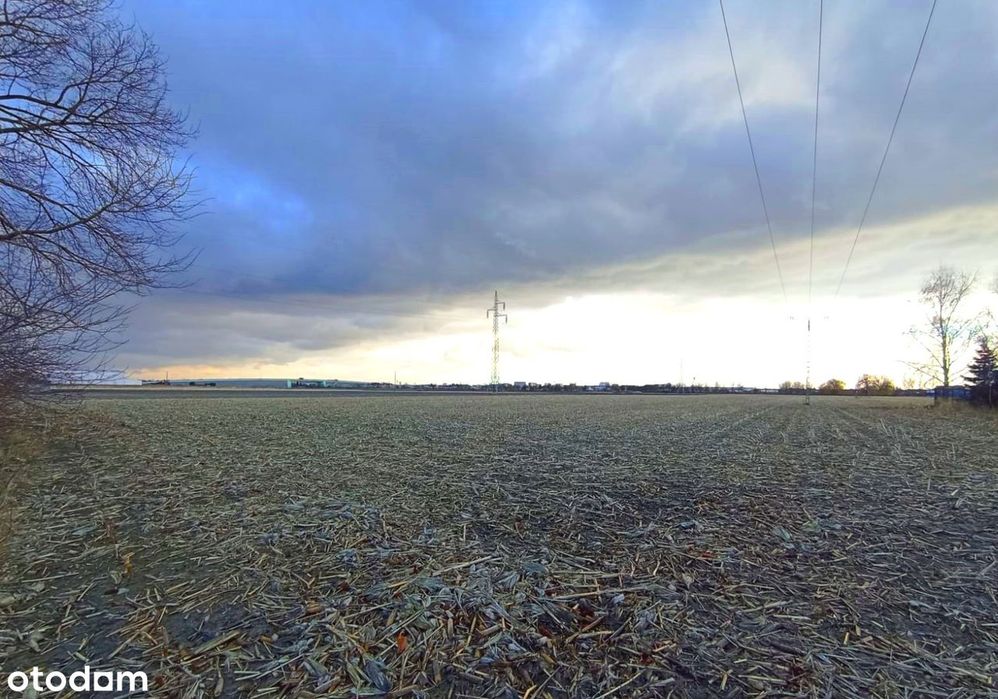 Działka inwestycyjna 3,2  ha Ożarów Mazowiecki DK92