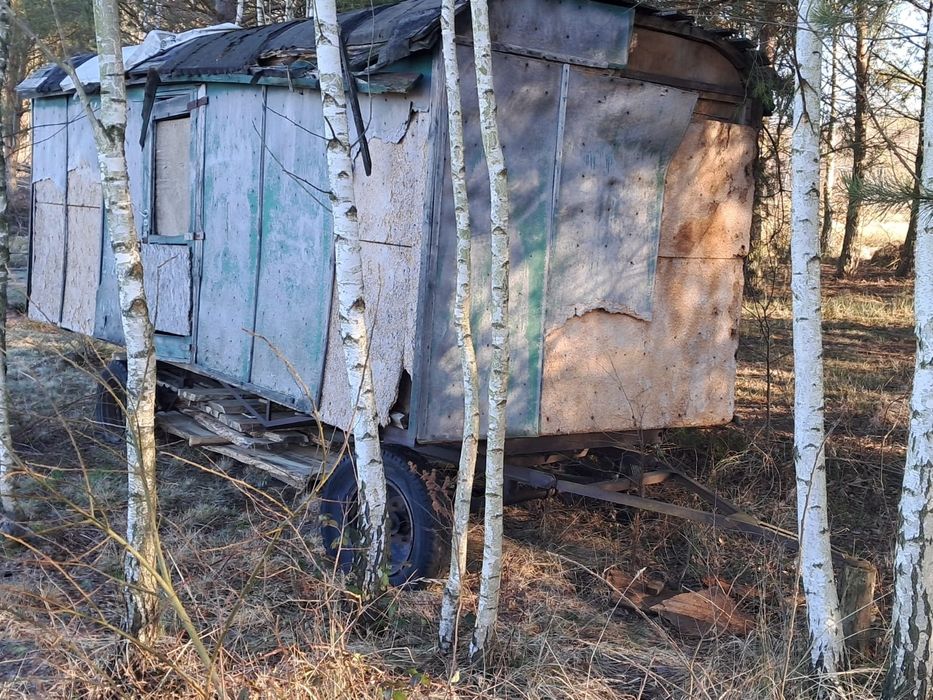 Barakowóz wóz drzymaly 6x2,5m