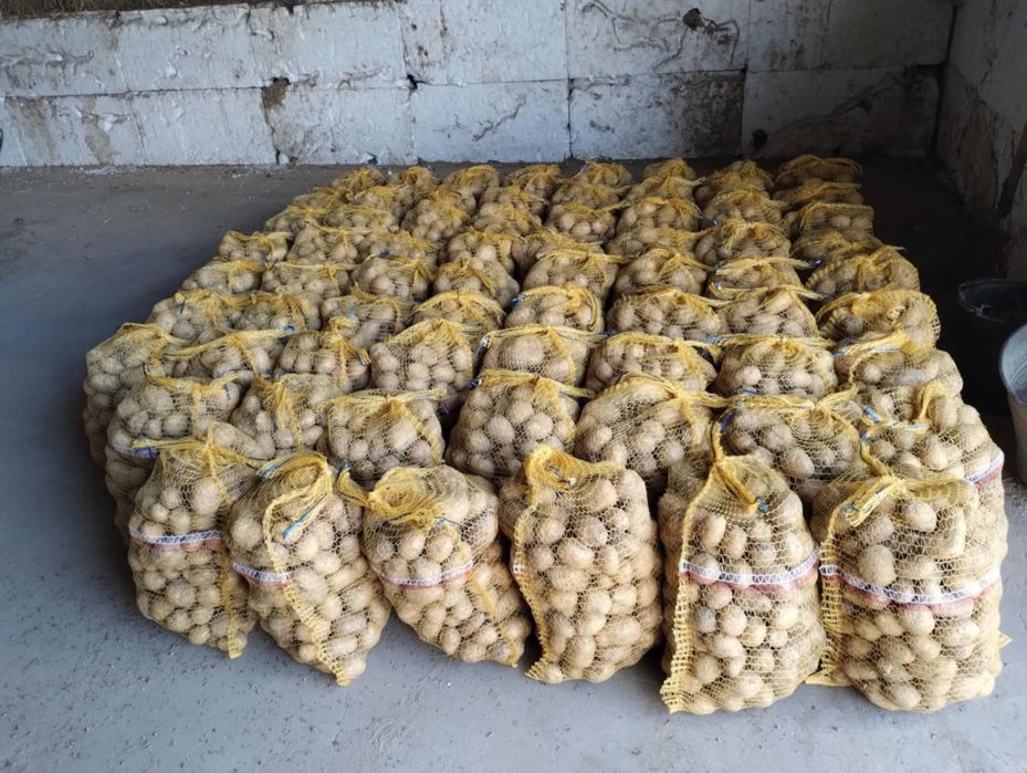 Ziemniaki 15kg Lilly Lordy