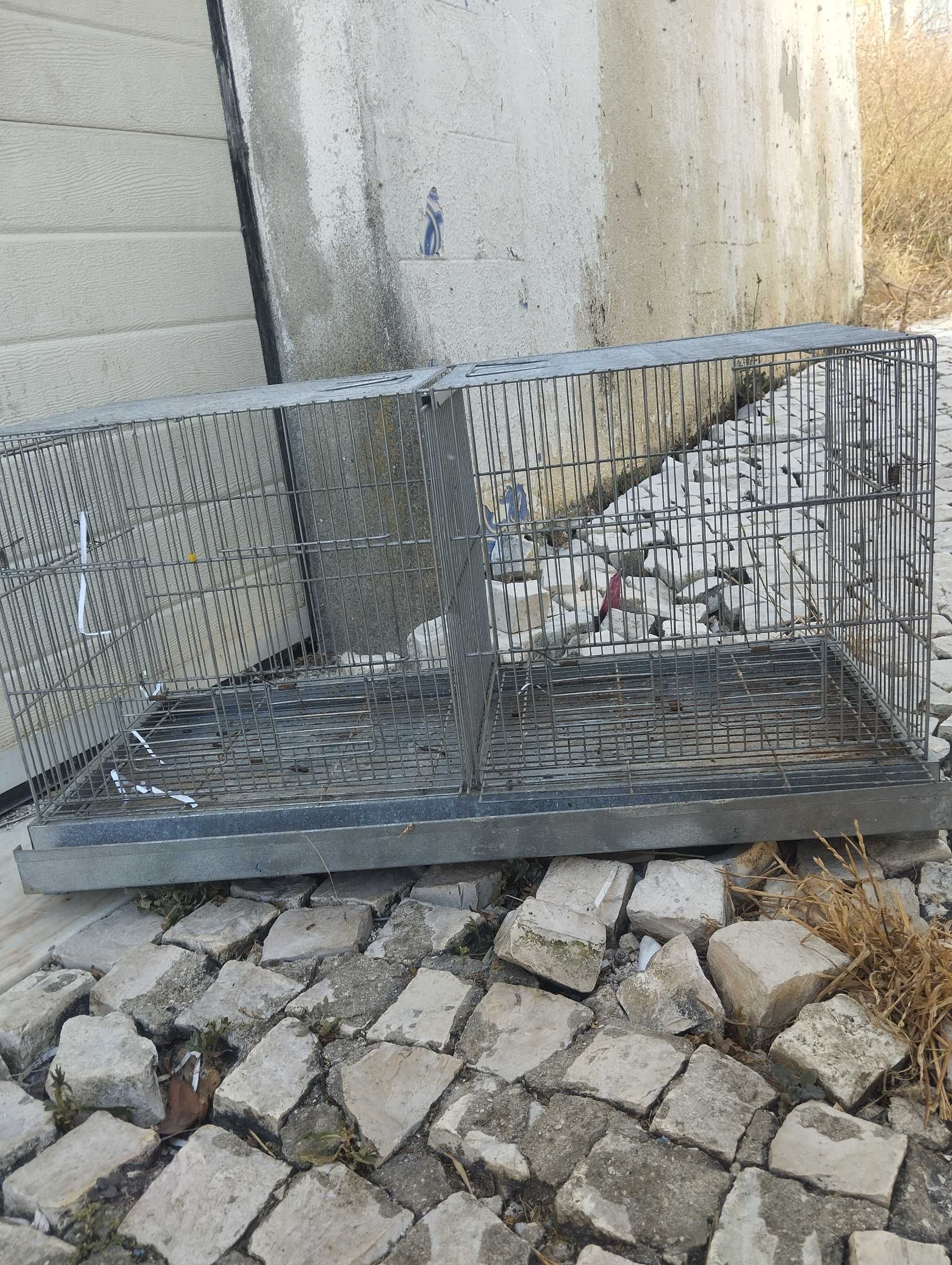 Gaiola para passaros